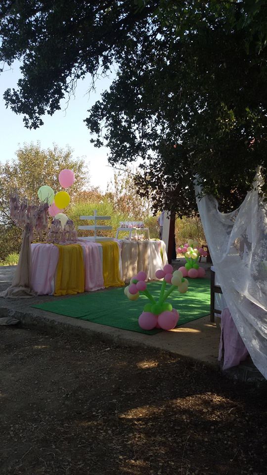 16905012_1369287579781133_8917536003067997408_o ΣΤΟΛΙΣΜΟΣ ΒΑΠΤΙΣΗΣ ΣΕ ΕΞΩΚΛΗΣΙ ΣΤΟΝ ΔΟΜΟΚΟ - Image 3