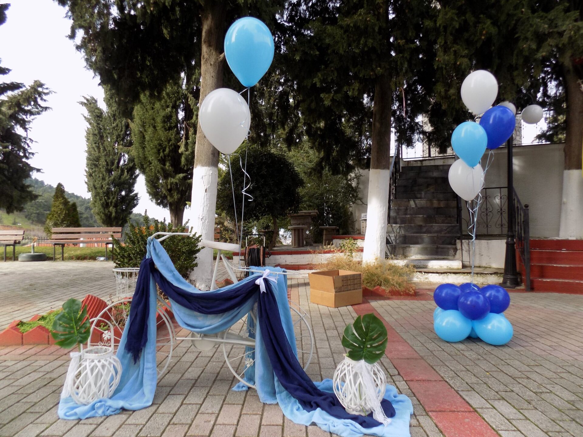 53111022_2180022422040974_2615651567348482048_o ΣΤΟΛΙΣΜΟΣ ΒΑΠΤΙΣΗΣ ΜΕ ΘΕΜΑ ΑΡΚΟΥΔΑΚΙ - Image 14