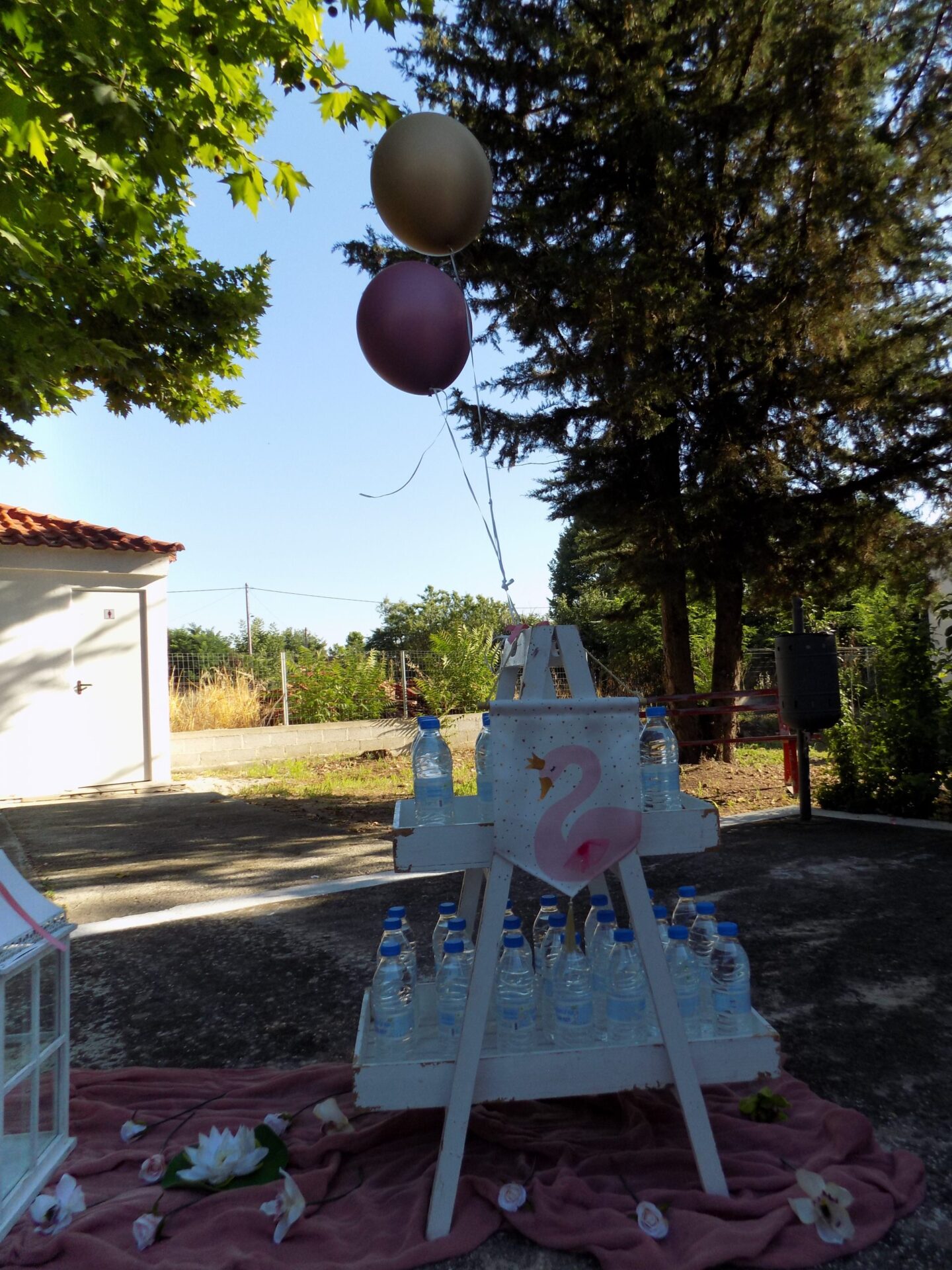 DSCN8787 ΔΙΑΚΟΣΜΗΣΗ ΒΑΠΤΙΣΗΣ ΜΕ ΘΕΜΑΤΙΚΟ ΚΥΚΝΟΣ - Image 10