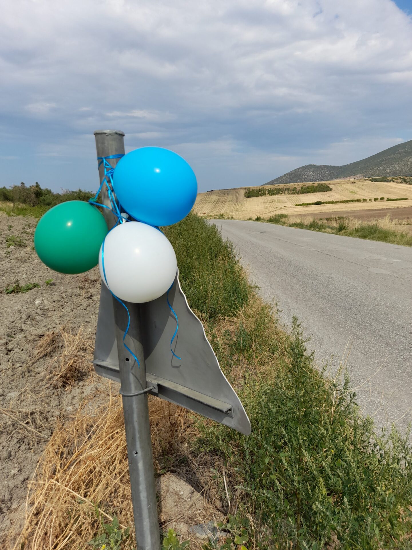 20210724_164515 PETER PAN ΔΙΑΚΟΣΜΗΣΗ ΒΑΠΤΙΣΗΣ - Image 6