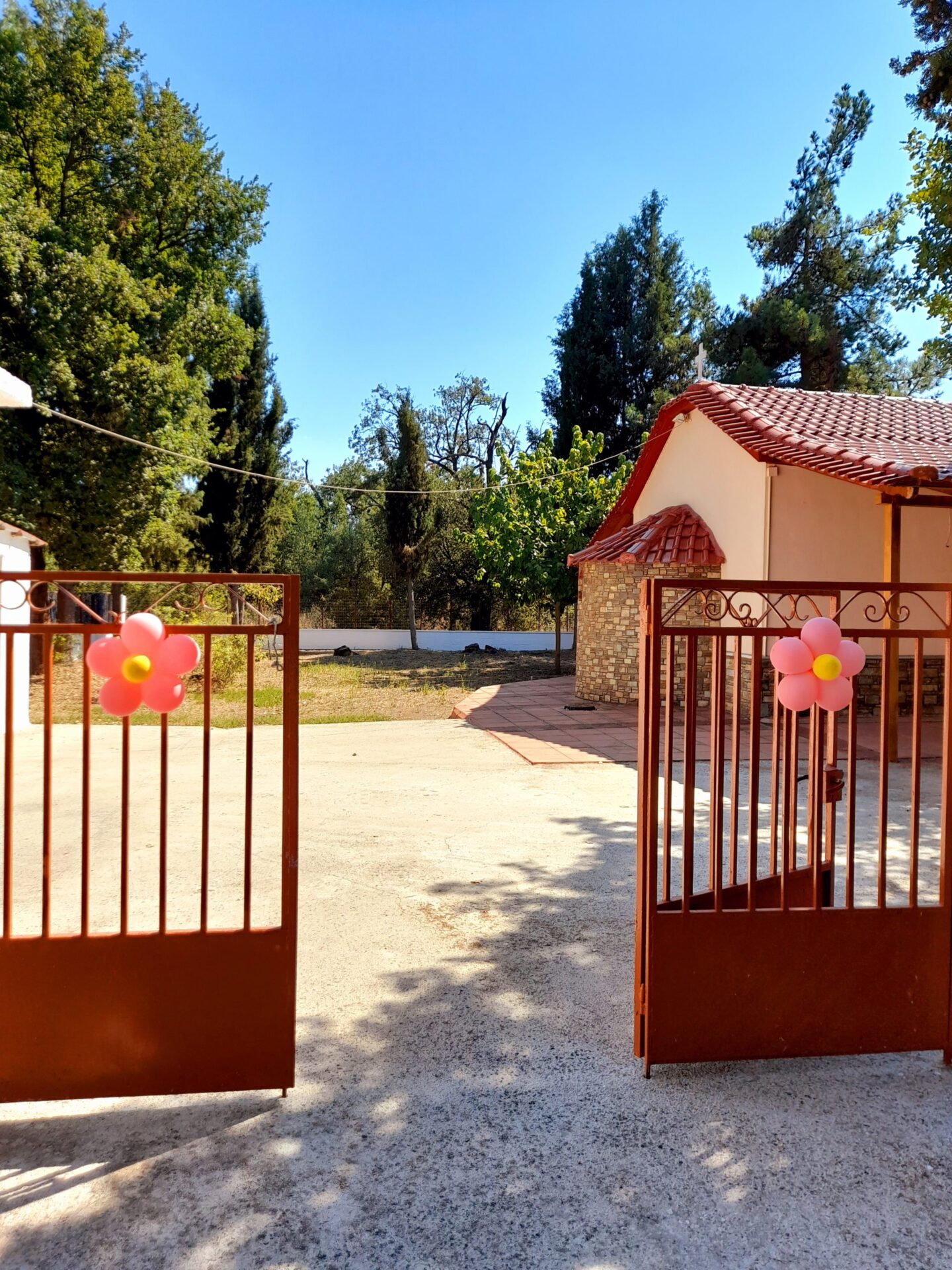 20210815_160016 ΔΙΑΚΟΣΜΗΣΗ ΒΑΠΤΙΣΗΣ ΜΕ ΘΕΜΑ MINI-BALARINA - Image 4