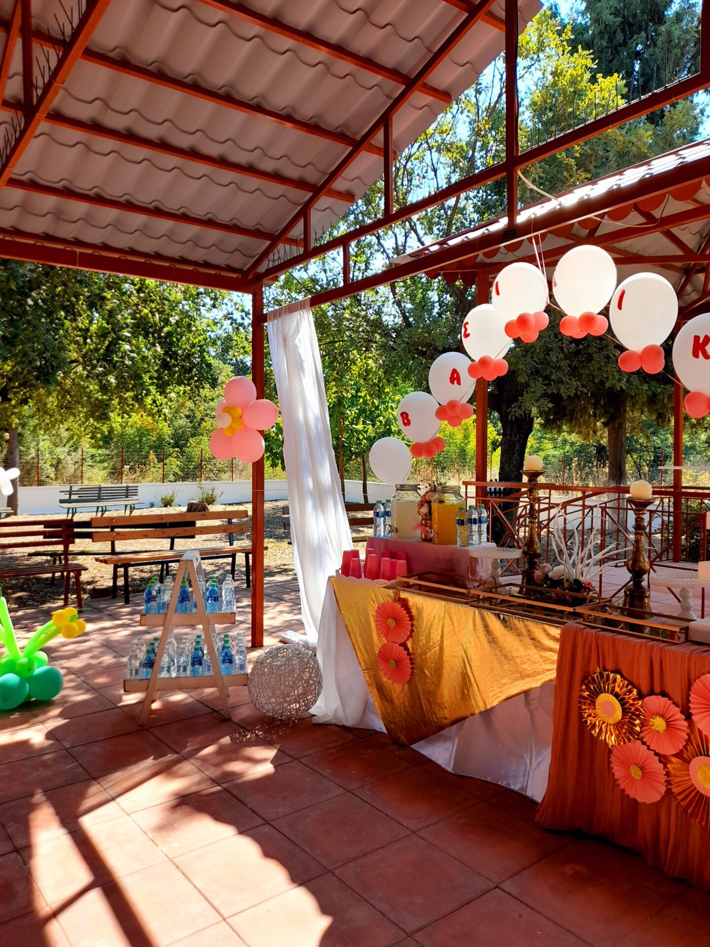 20210815_160309 ΔΙΑΚΟΣΜΗΣΗ ΒΑΠΤΙΣΗΣ ΜΕ ΘΕΜΑ MINI-BALARINA - Image 23