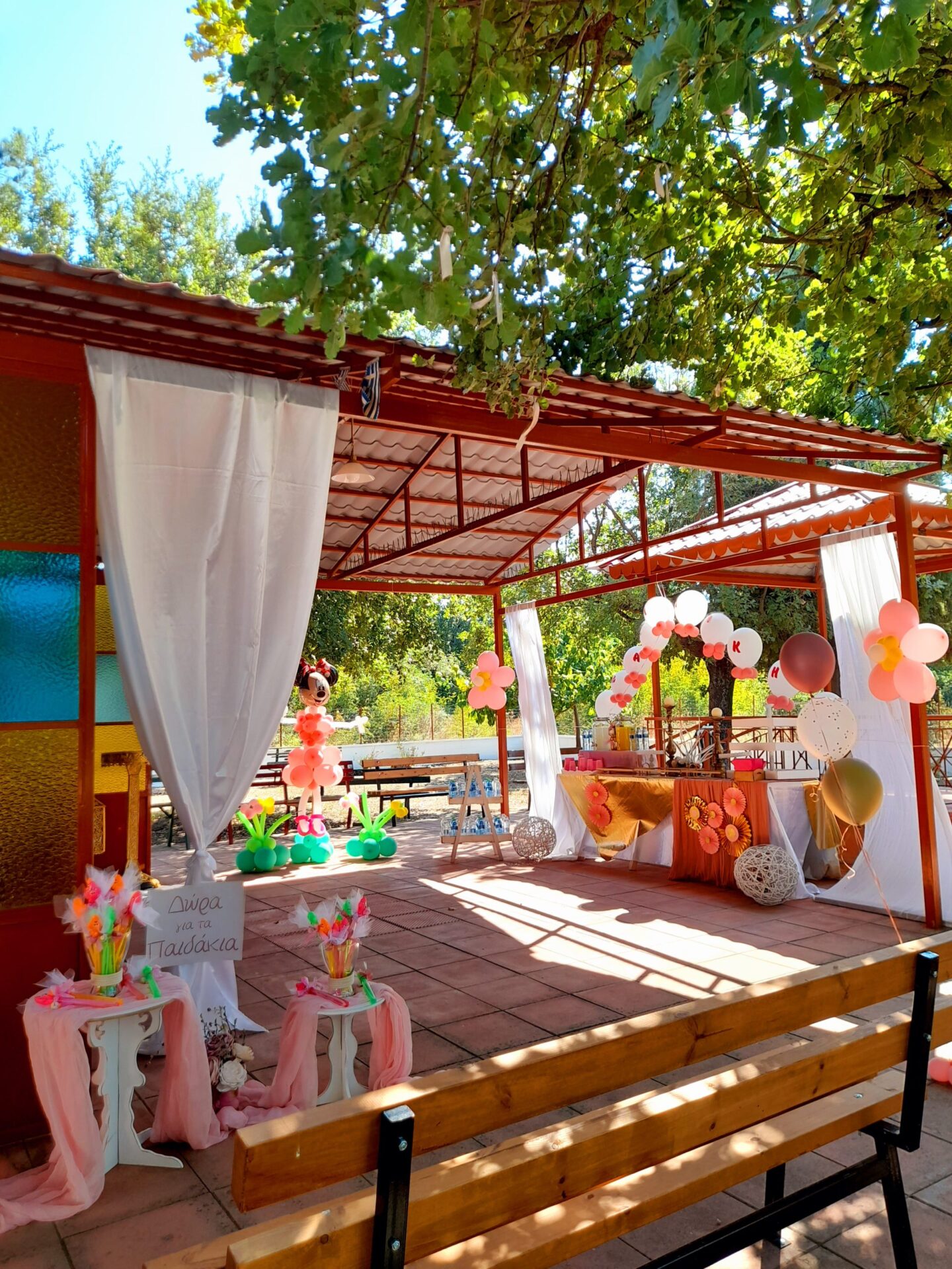 20210815_160329 ΔΙΑΚΟΣΜΗΣΗ ΒΑΠΤΙΣΗΣ ΜΕ ΘΕΜΑ MINI-BALARINA - Image 19