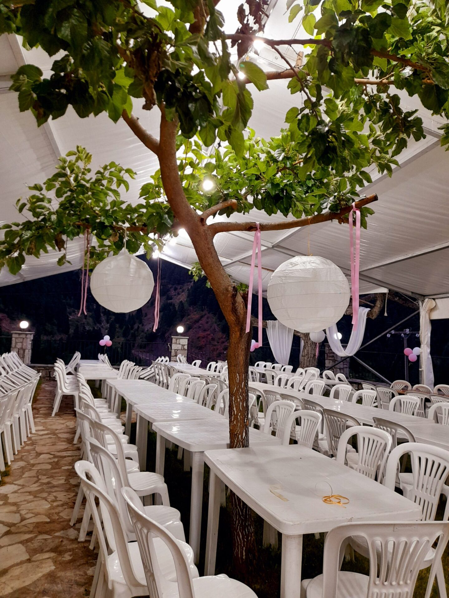 20210821_202905 ΔΙΑΚΟΣΜΗΣΗ ΒΑΠΤΙΣΗΣ ΚΑΡΒΑΣΑΡΑΣ ΛΙΜΝΗΣ ΠΛΑΣΤΗΡΑ - Image 16