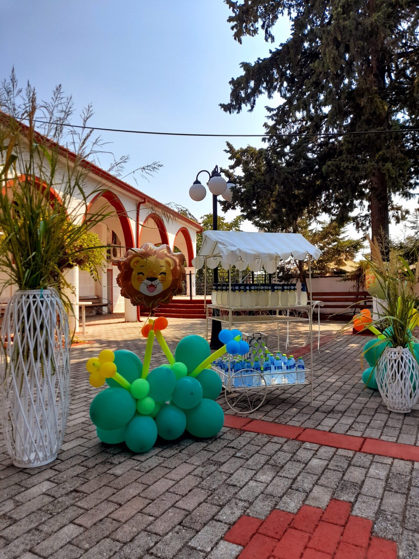 20210822_111010 ΔΙΑΚΟΣΜΗΣΗ ΒΑΠΤΙΣΗΣ ΖΩΑΚΙΑ ΤΟΥ ΔΑΣΟΥΣ - Image 7