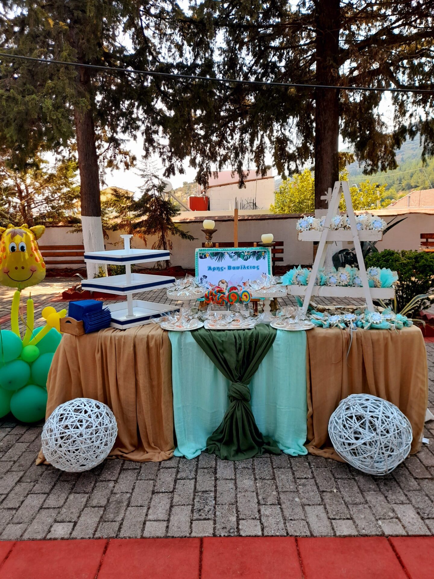 20210822_111033 ΔΙΑΚΟΣΜΗΣΗ ΒΑΠΤΙΣΗΣ ΖΩΑΚΙΑ ΤΟΥ ΔΑΣΟΥΣ - Image 9