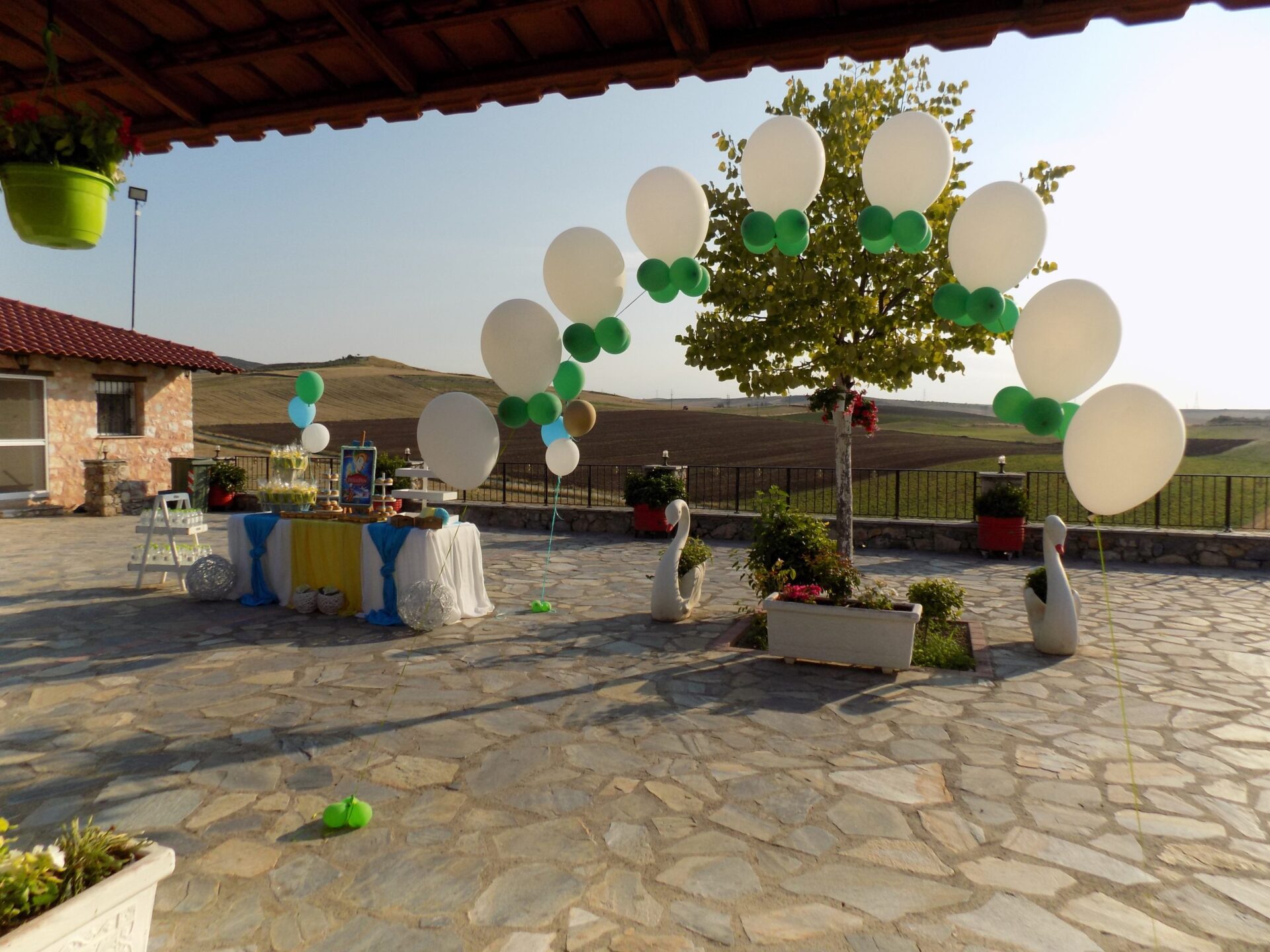 DSCN4413 PETER PAN ΔΙΑΚΟΣΜΗΣΗ ΒΑΠΤΙΣΗΣ - Image 64