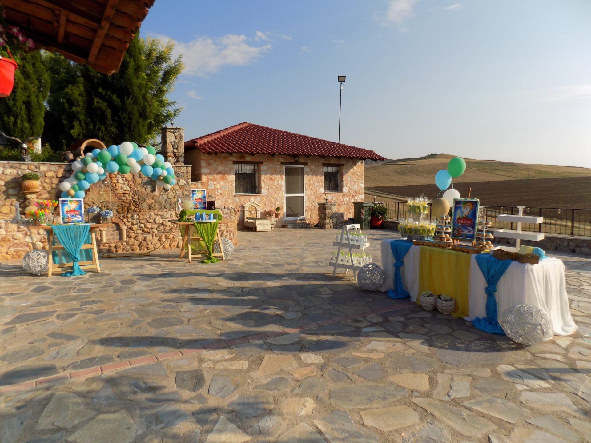 DSCN4414 PETER PAN ΔΙΑΚΟΣΜΗΣΗ ΒΑΠΤΙΣΗΣ - Image 65