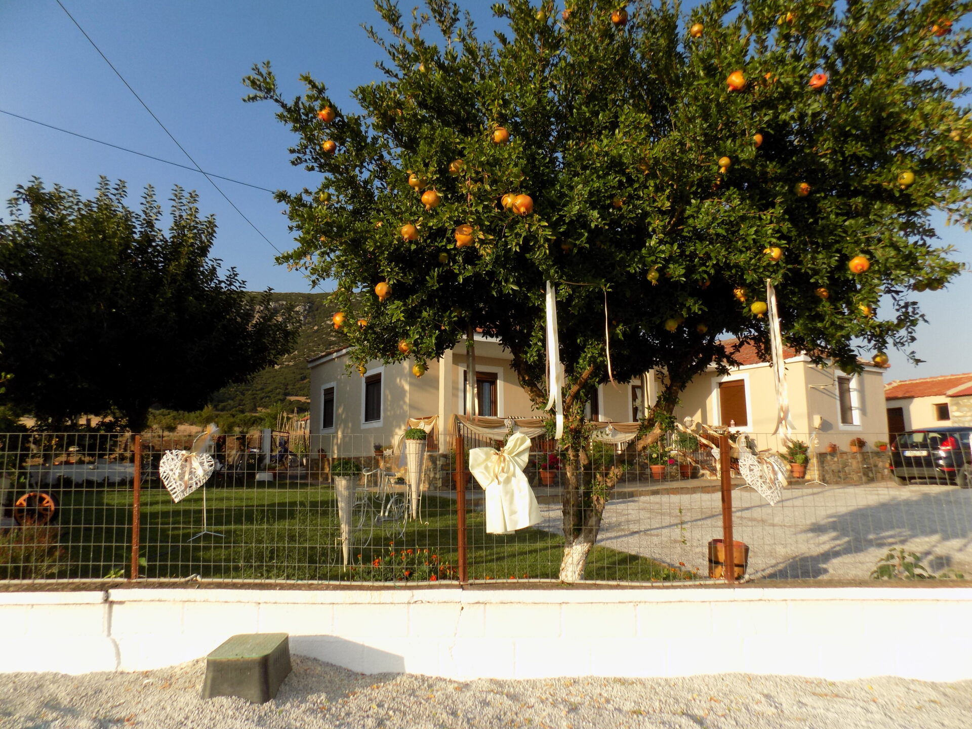 DSCN8644 ΔΙΑΚΟΣΜΗΣΗ ΣΠΙΤΙΟΥ ΣΕ ΧΩΡΙΟ - Image 12