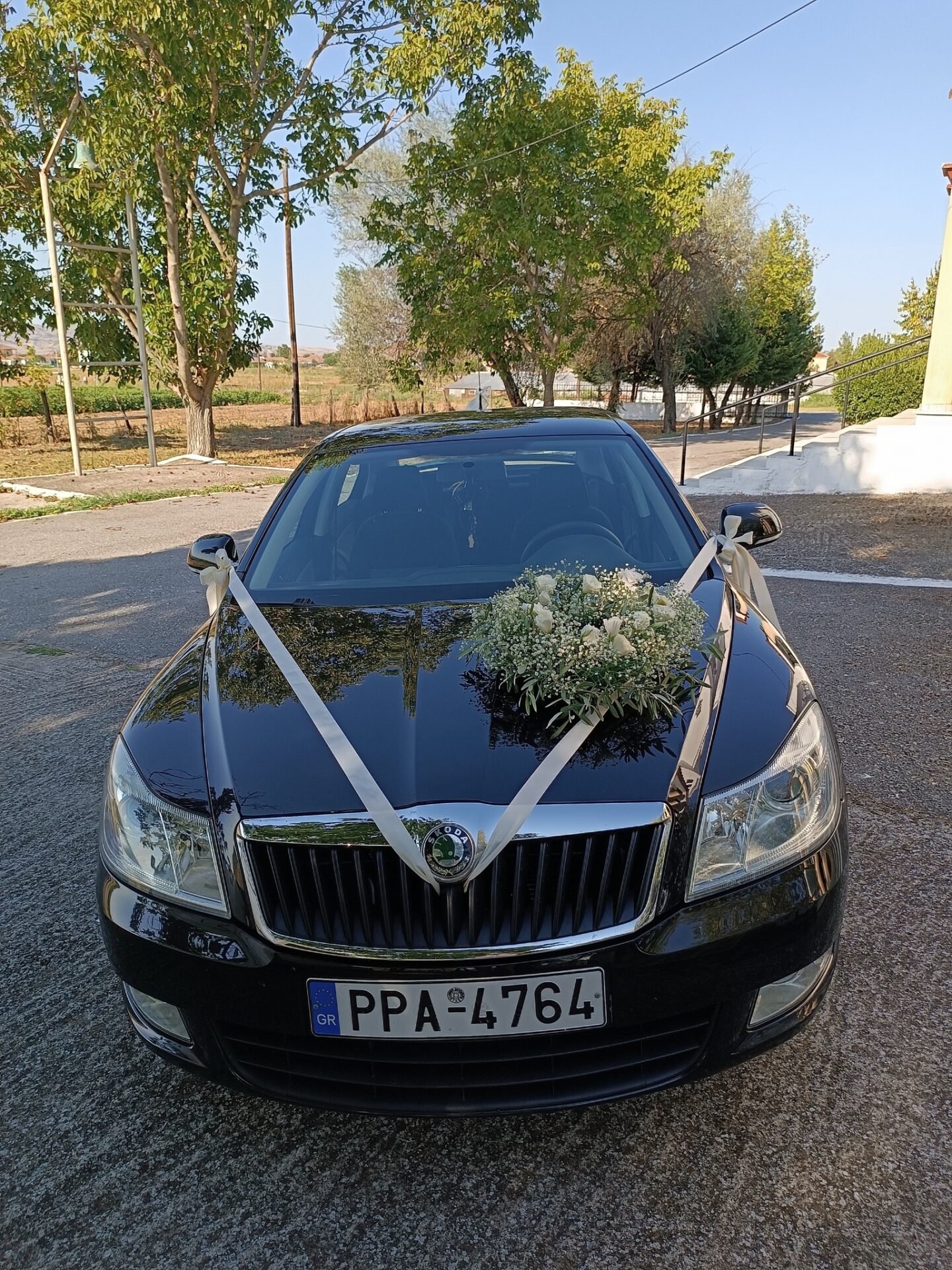 367466280_6251403608318387_4933467546067698956_n ΓΑΜΟΣ ΜΕ ΓΗΙΝΕΣ ΑΠΟΧΡΩΣΕΙΣ ΚΑΙ ΕΛΙΑ ΑΙΩΝΙΑ ΟΜΟΡΦΙΑ - Image 17