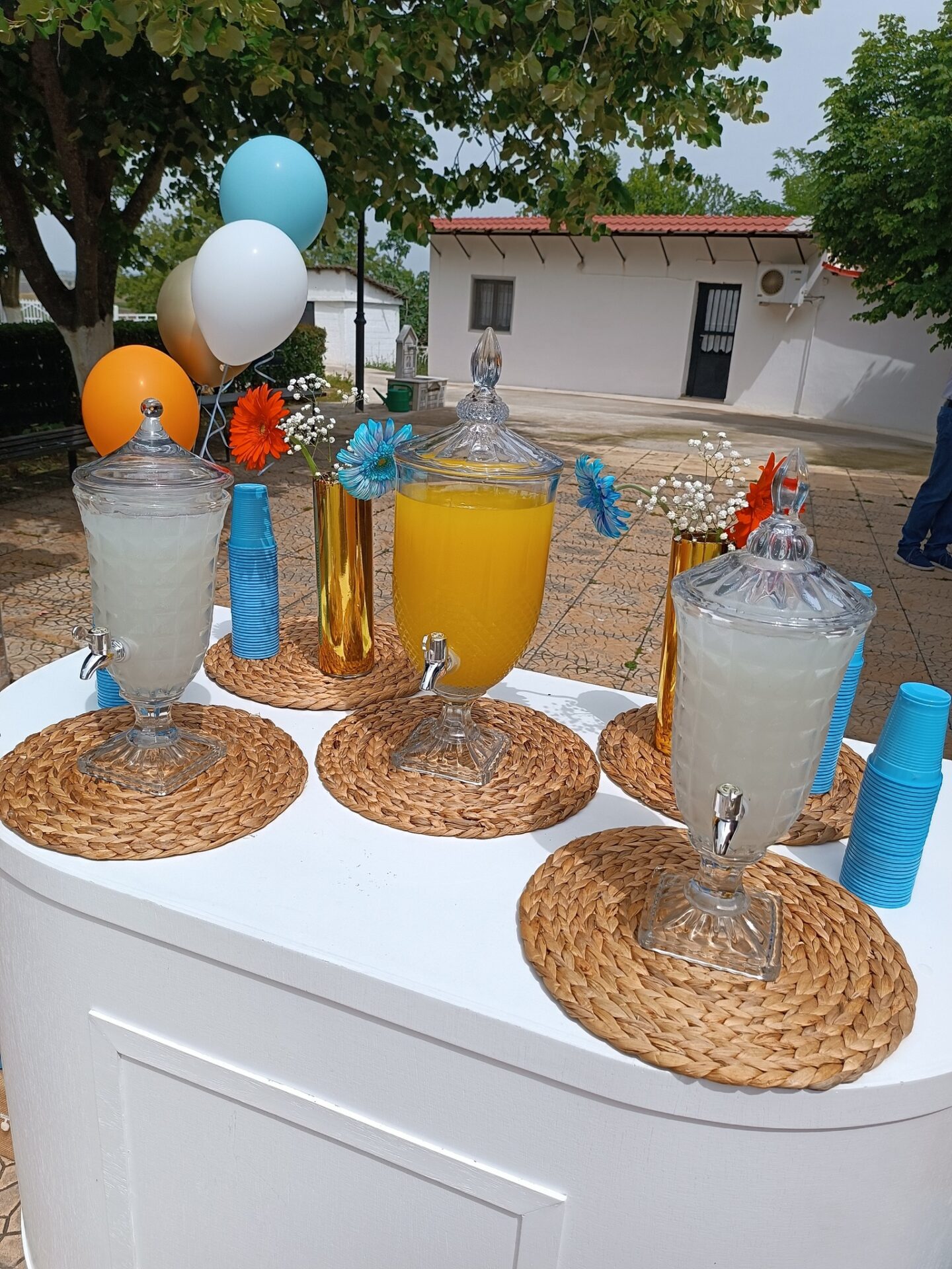 441197191_7301323436659727_5172541630532409522_n - Αντιγραφή - Αντιγραφή Η ΒΑΠΤΙΣΗ ΤΟΥ ΔΗΜΗΤΡΗ ΧΡΩΜΑΤΑ ΚΑΙ ΓΛΥΚΙΣΜΑΤΑ ΣΕ ΚΑΘΕ ΓΩΝΙΑ - Image 8