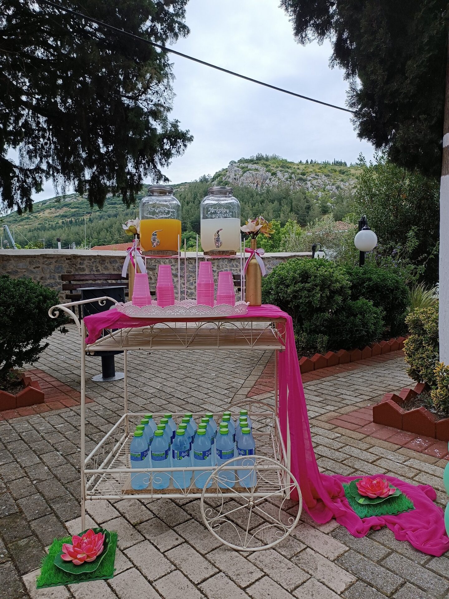 442498738_7265777116881026_8018444863459096679_n FUCHSIA MAGIC AND BUTTERFLIES ΓΙΑ ΤΗΝ ΒΑΠΤΙΣΗ ΤΗΣ ΜΙΚΡΗΣ ΜΑΣ ΠΡΙΓΚΙΠΙΣΑΣ - Image 11