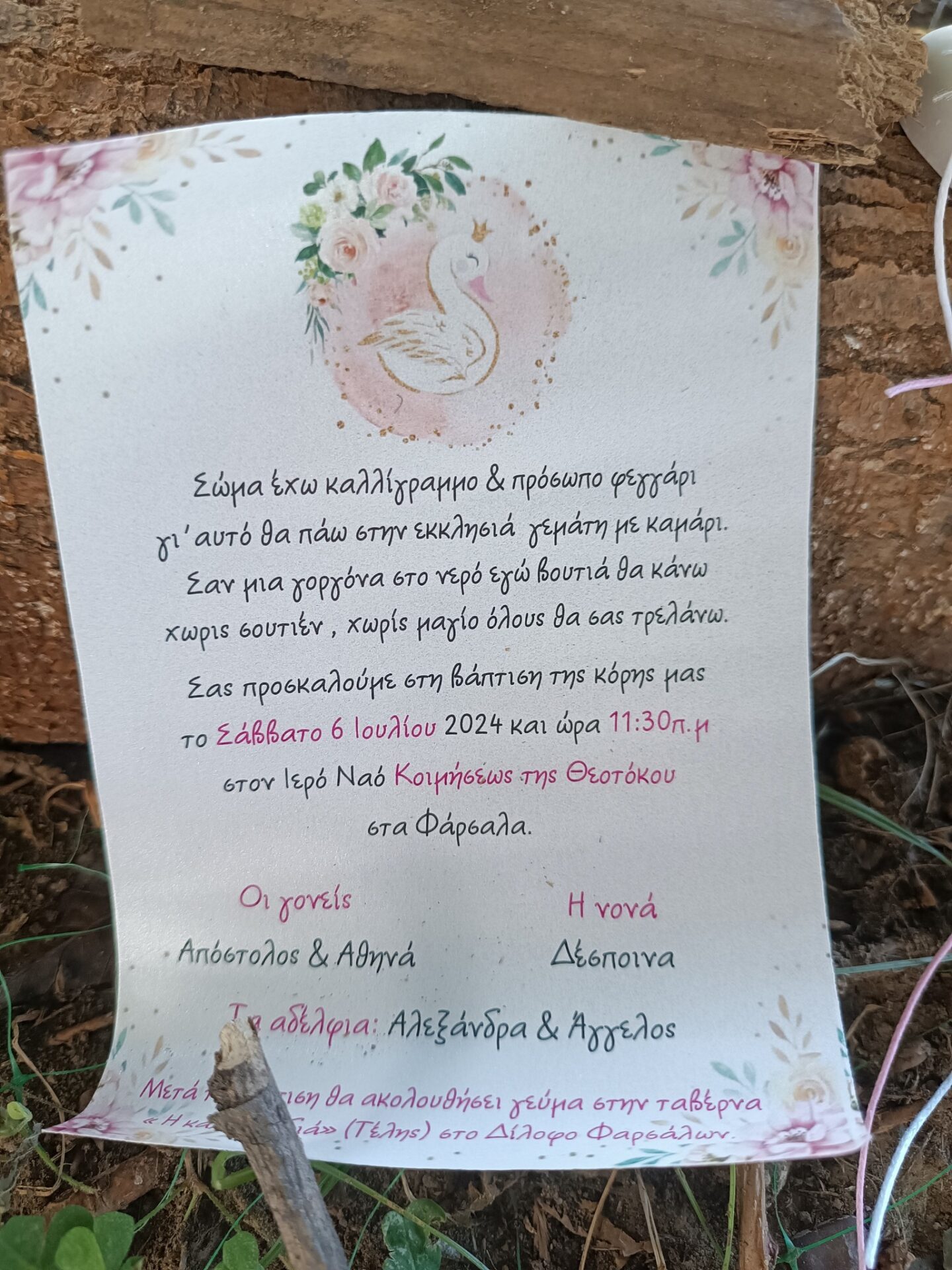 448495943_7422156107909792_1051691123790010522_n ΜΠΟΜΠΟΝΙΕΡΑ ΒΑΠΤΙΣΗΣ ΚΥΚΝΟΣ ΣΕ ΒΟΤΣΑΛΟ - Image 4
